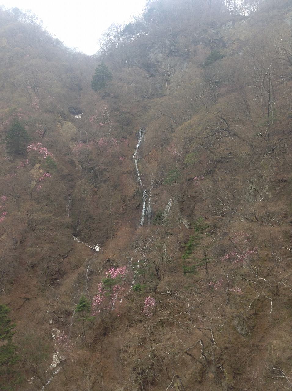 華厳のそばの滝