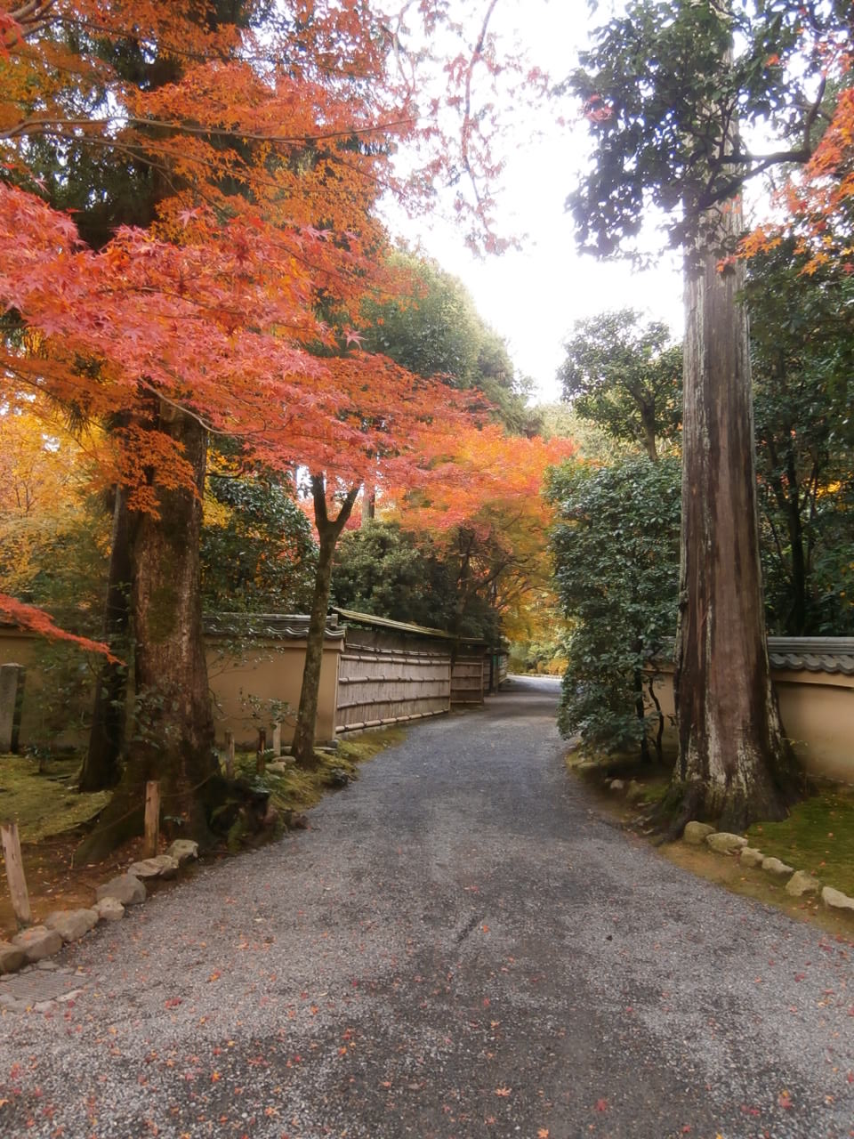 竜安寺