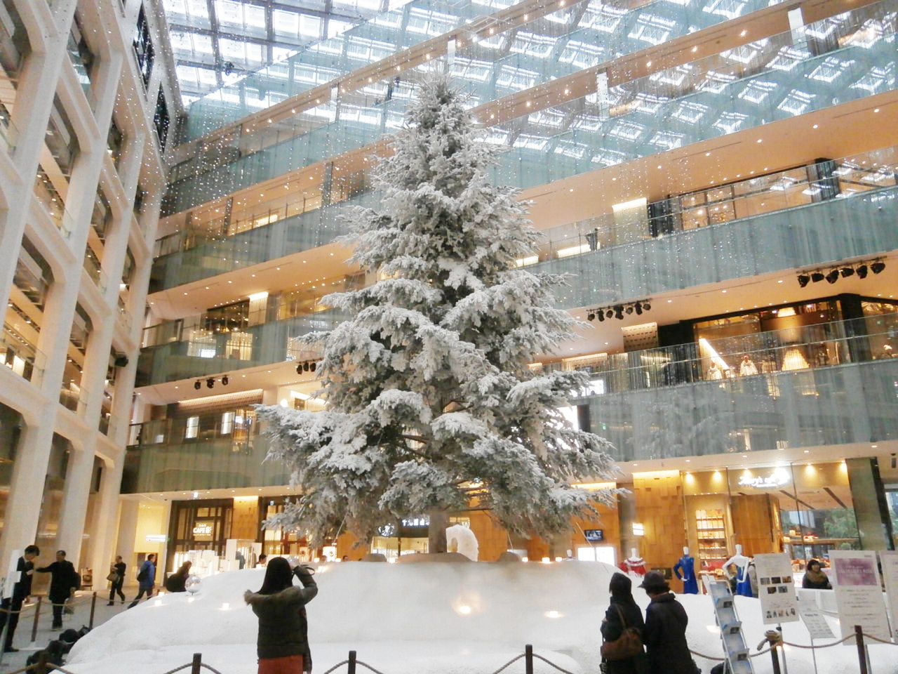 JPタワーのクリスマスツリー