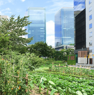 生産緑地