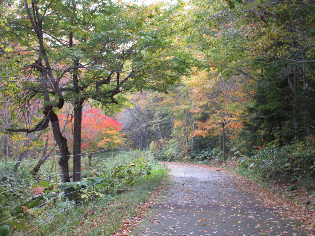 滝野すずらん丘陵公園１