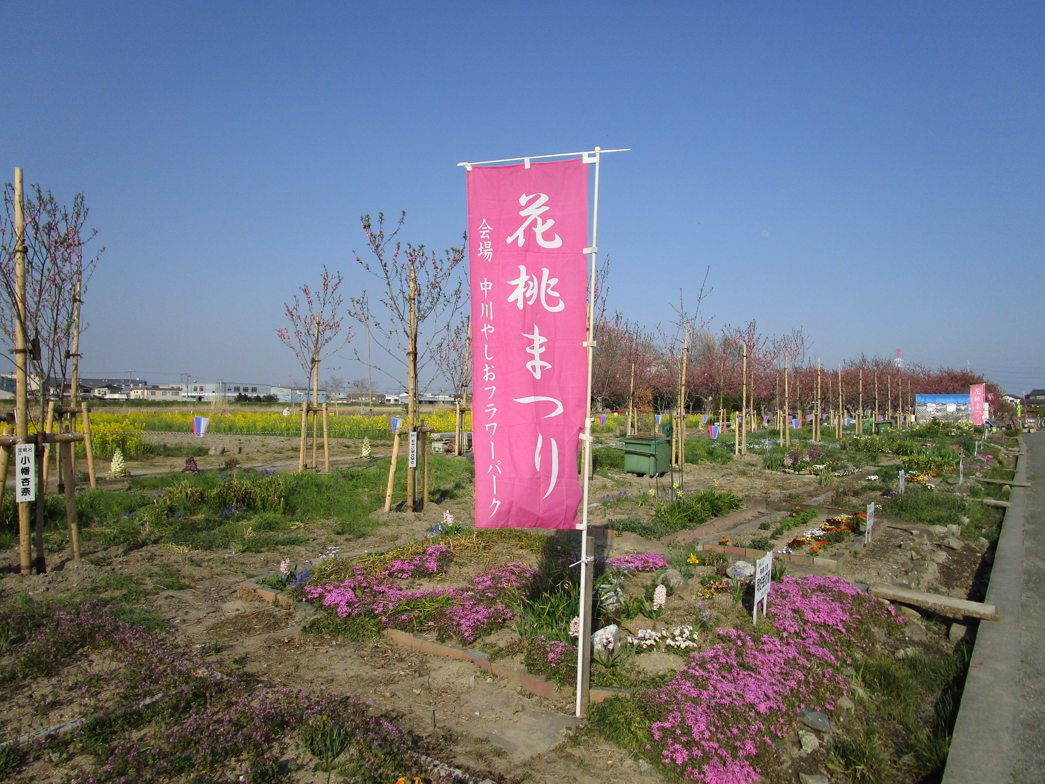 花桃まつりの幟