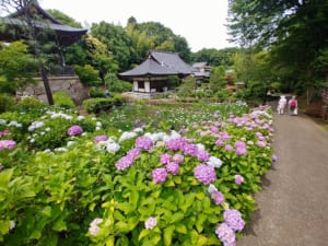 長窪山 正覺寺