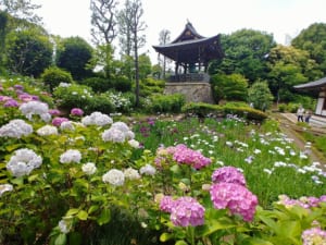 長窪山 正覺寺