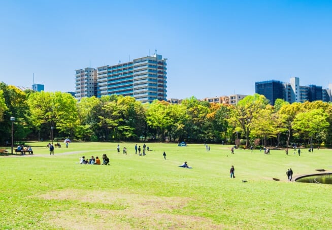 新緑の公園広場