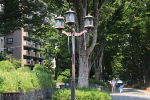 大宮＿氷川神社参道